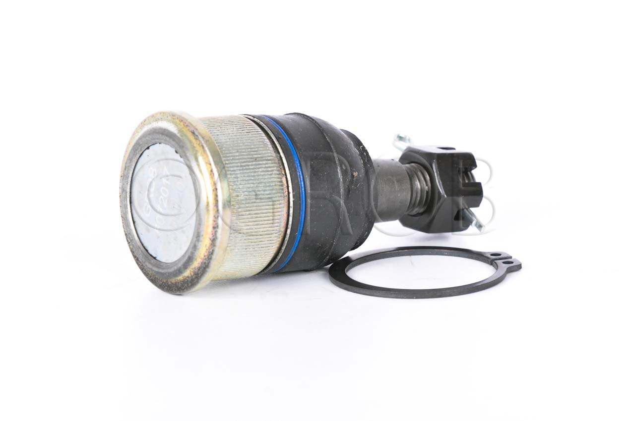 Rotula Inf. Ridgeline 06-14