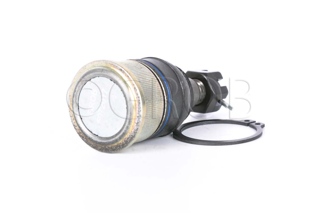 Rotula Inf. Ridgeline 06-14