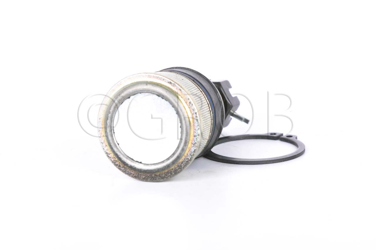 Rotula Inf. Ridgeline 06-14