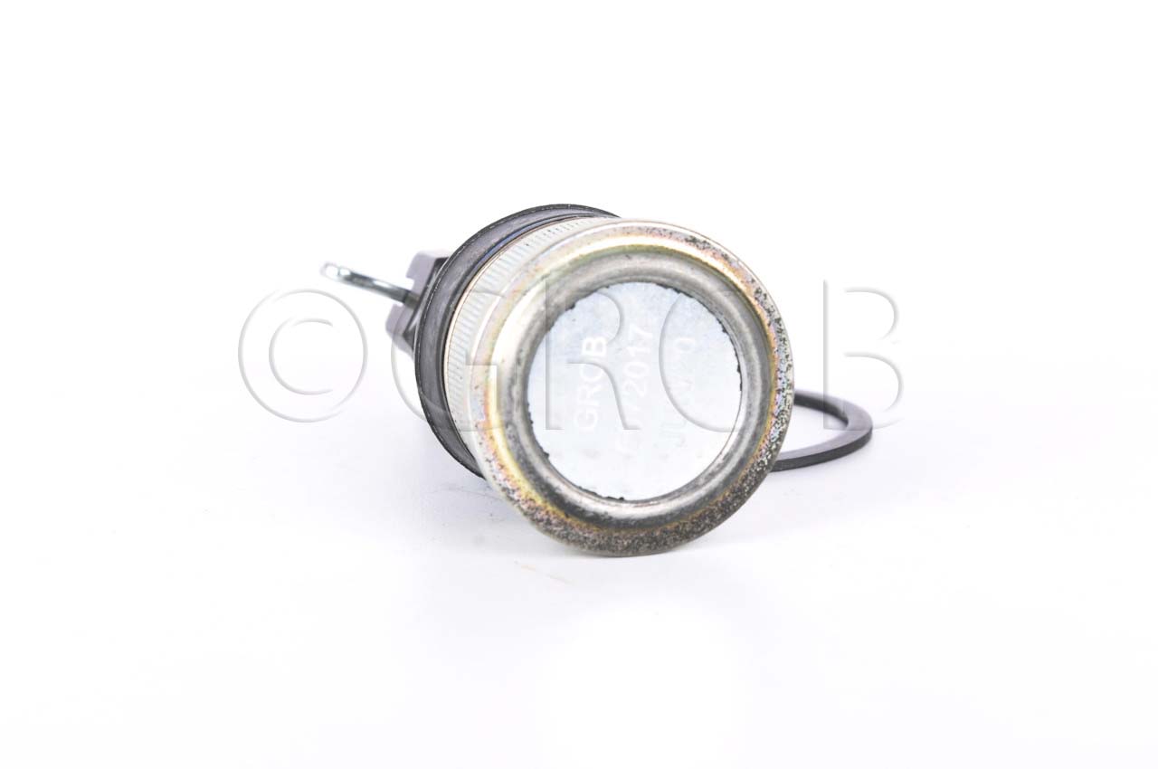 Rotula Inf. Ridgeline 06-14