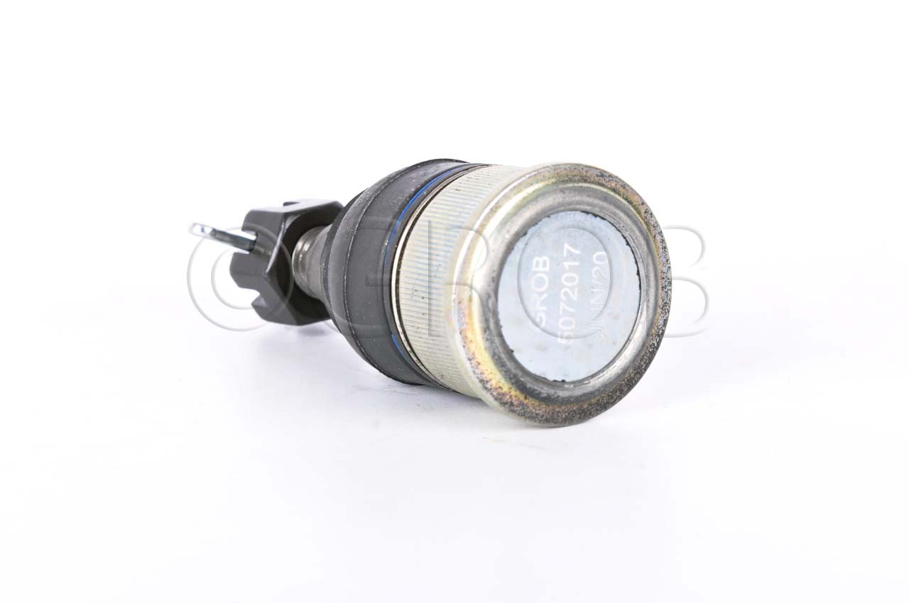 Rotula Inf. Ridgeline 06-14