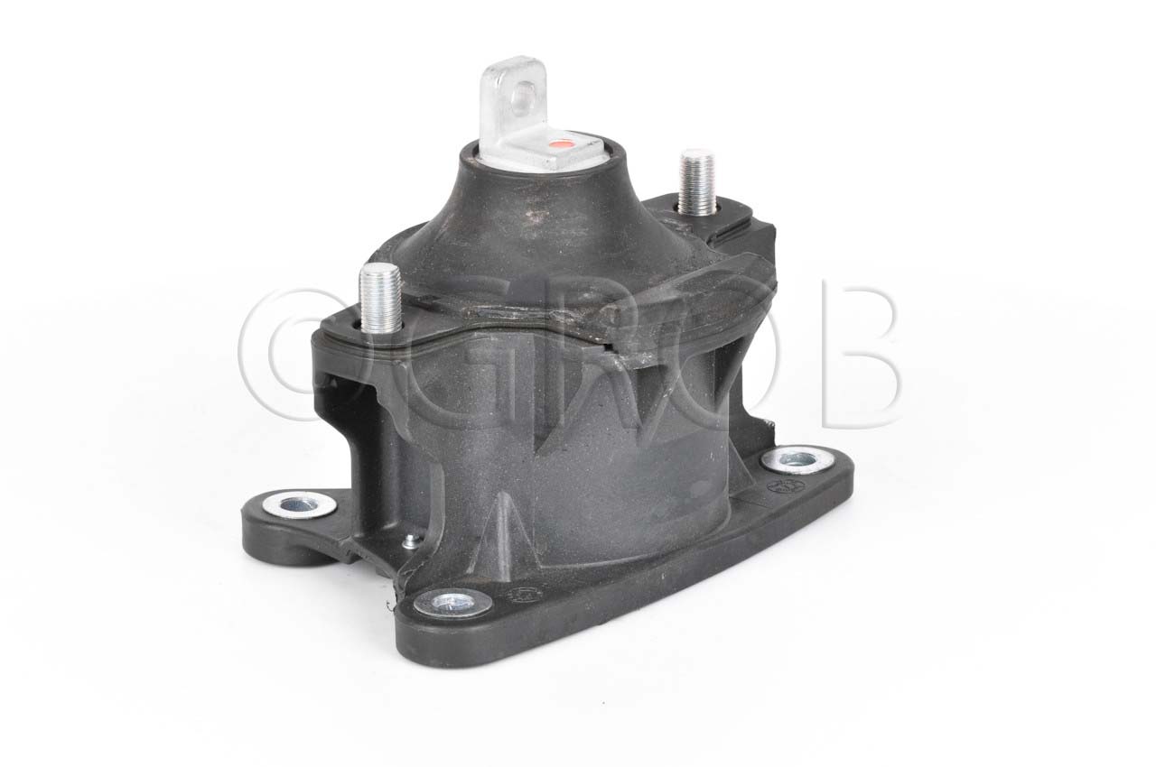Soporte Motor Frontal TSX 09-14 Accord 08-12