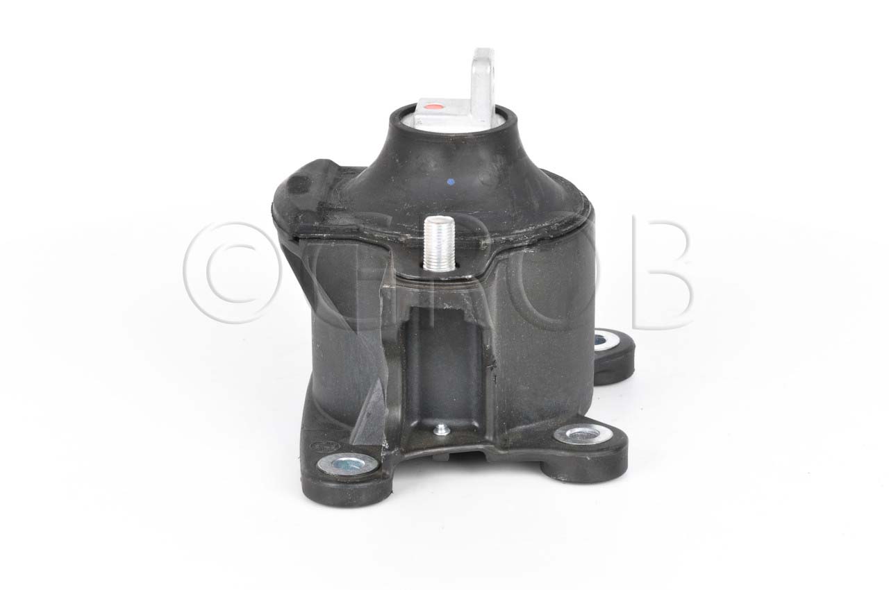 Soporte Motor Frontal TSX 09-14 Accord 08-12