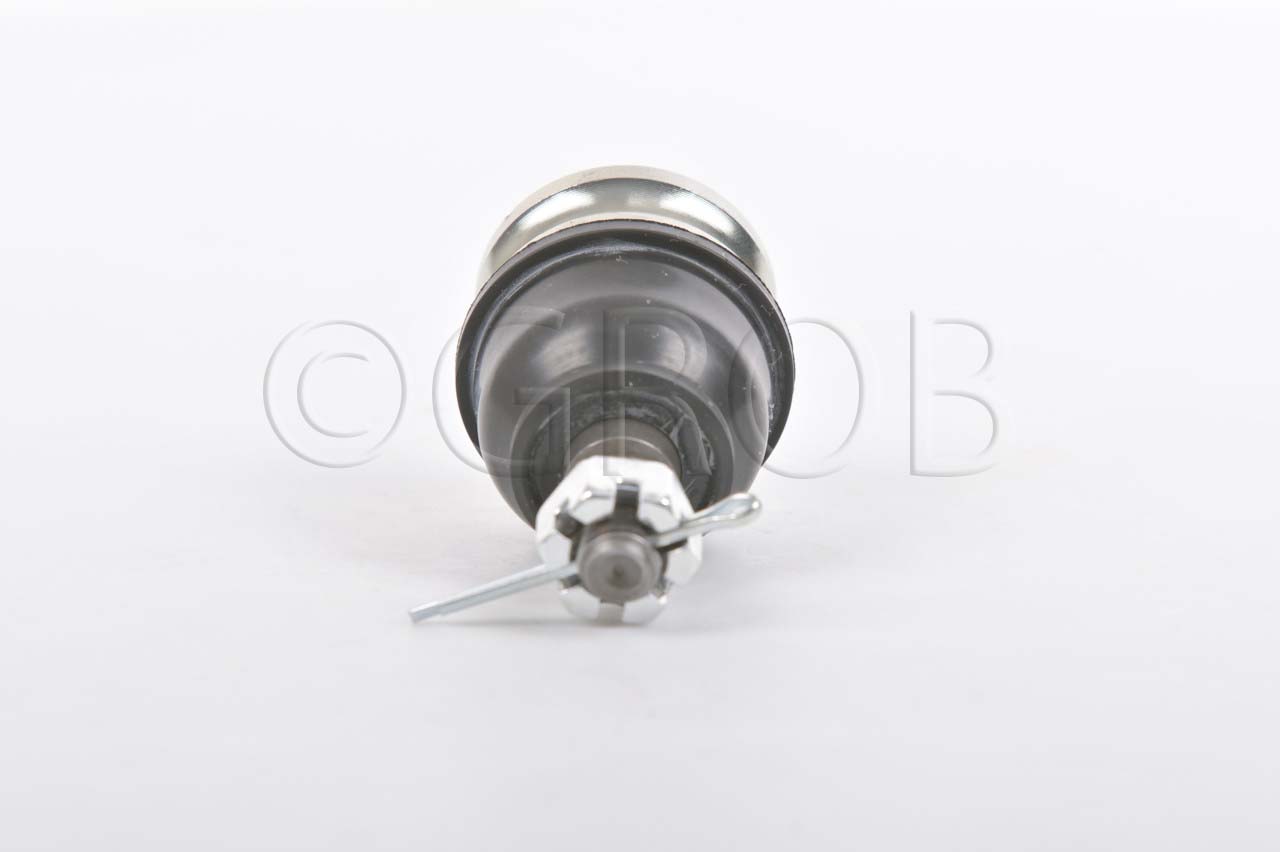 Rotula Inf. Atos 00-12