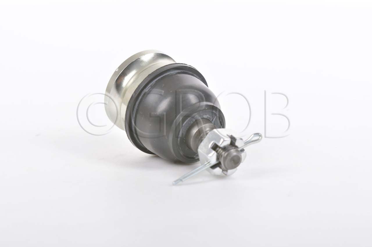 Rotula Inf. Atos 00-12