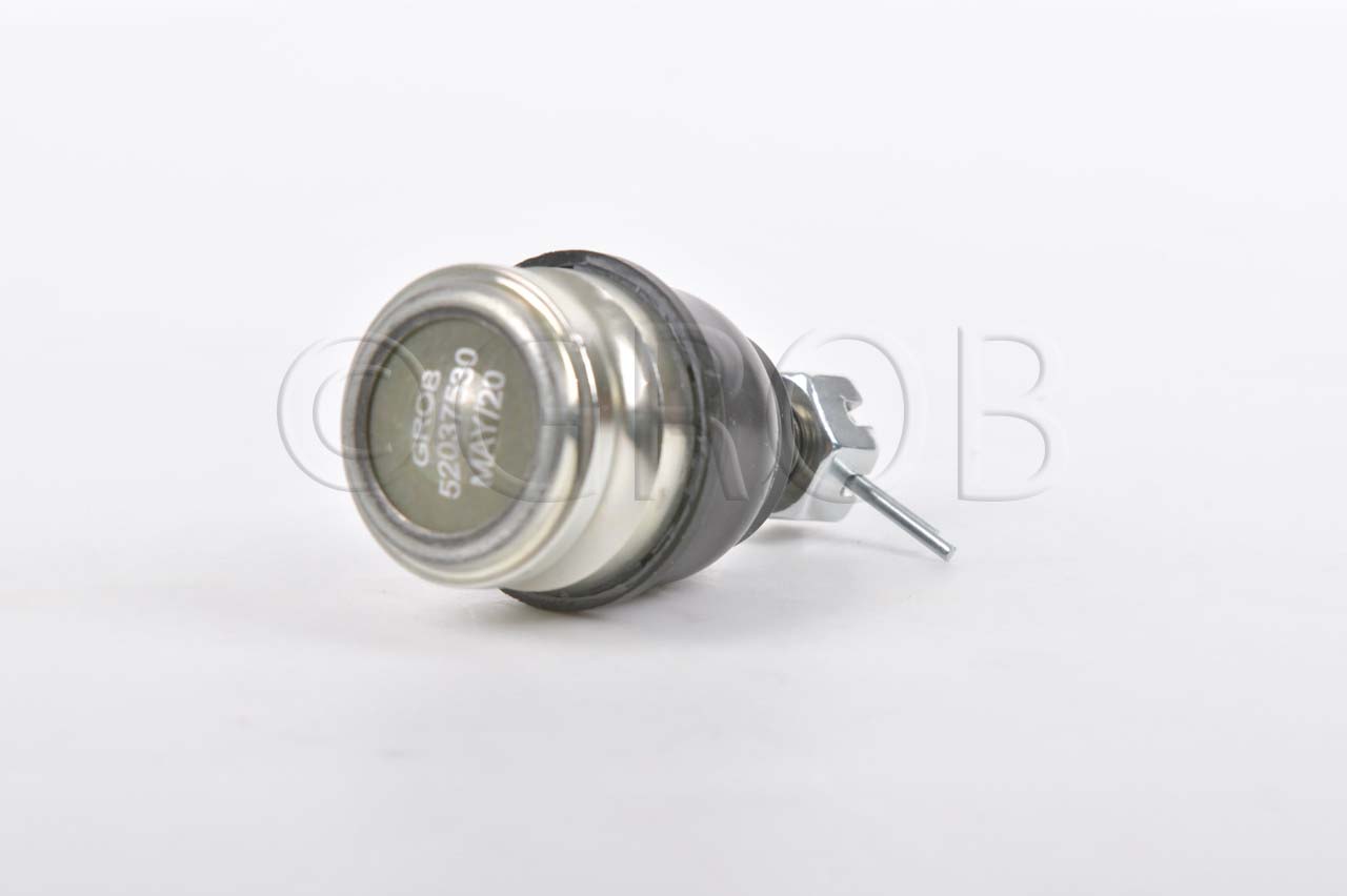 Rotula Inf. Atos 00-12