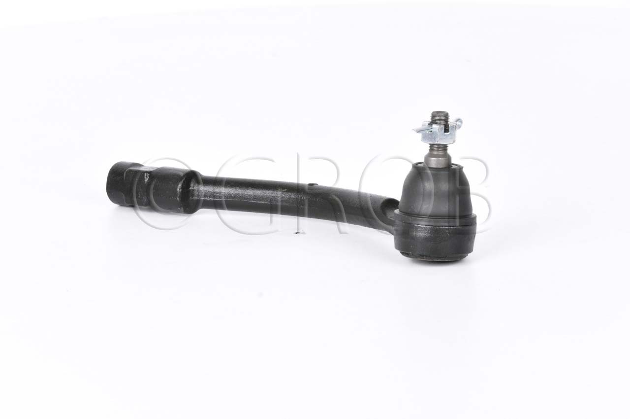 Terminal Ext. Der. Forte 14-18