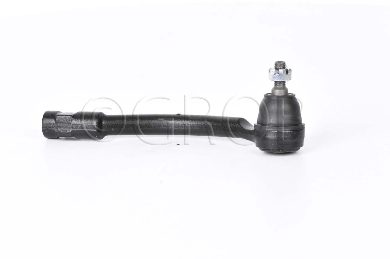 Terminal Ext. Der. Forte 14-18