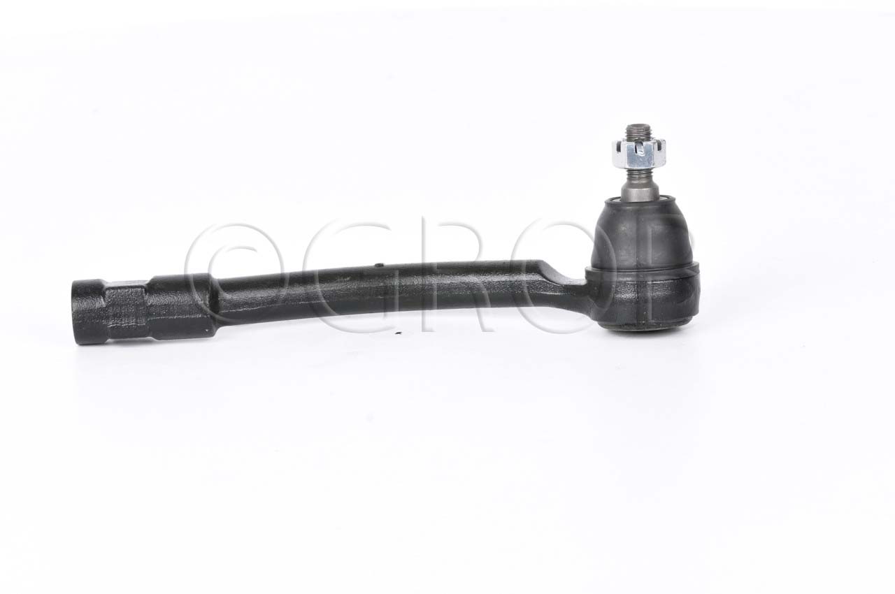 Terminal Ext. Der. Forte 14-18