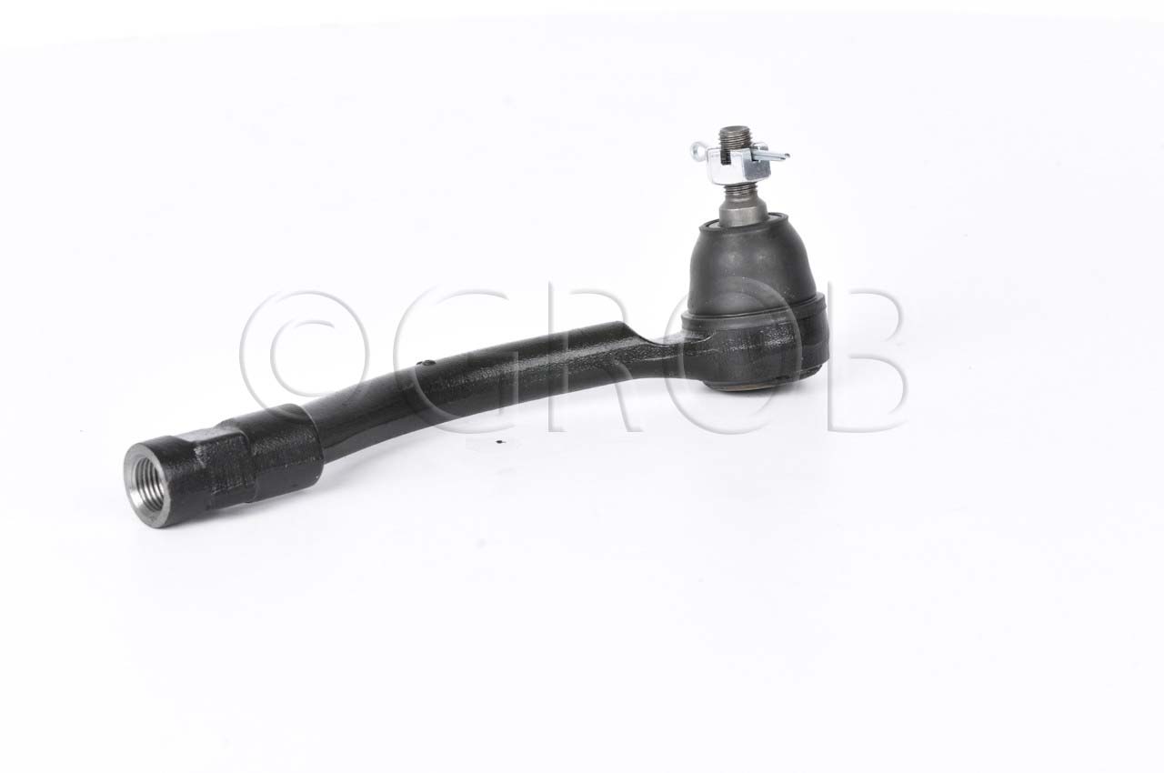 Terminal Ext. Der. Forte 14-18