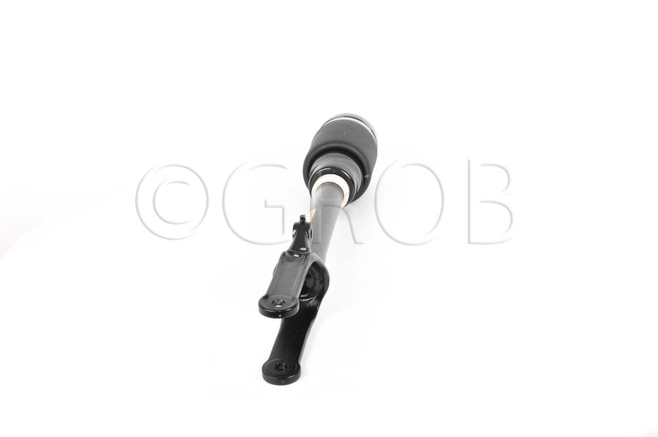 Amortiguador Del. ML320 06-11 ML350 06-11 ML430 06-11 ML500 06-11 ML63  06-11 W164 07-12