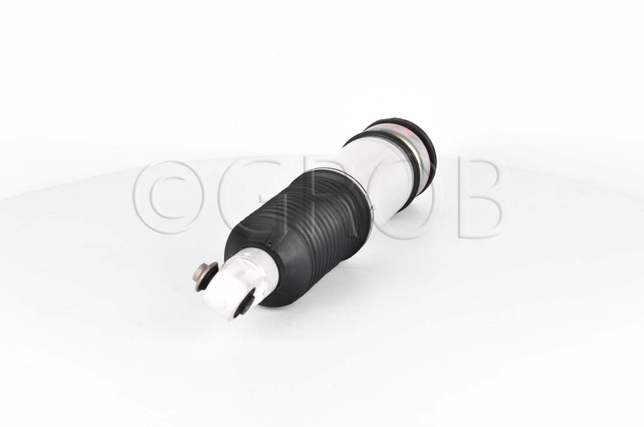 Amortiguador Tras. Der. E65 03-12 E66 03-12