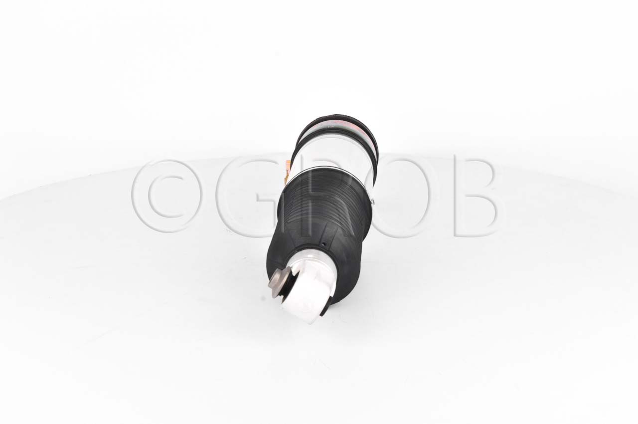 Amortiguador Tras. Der. E65 03-12 E66 03-12
