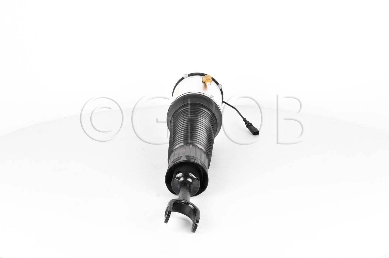 Amortiguador Del. Der. A8 02-10