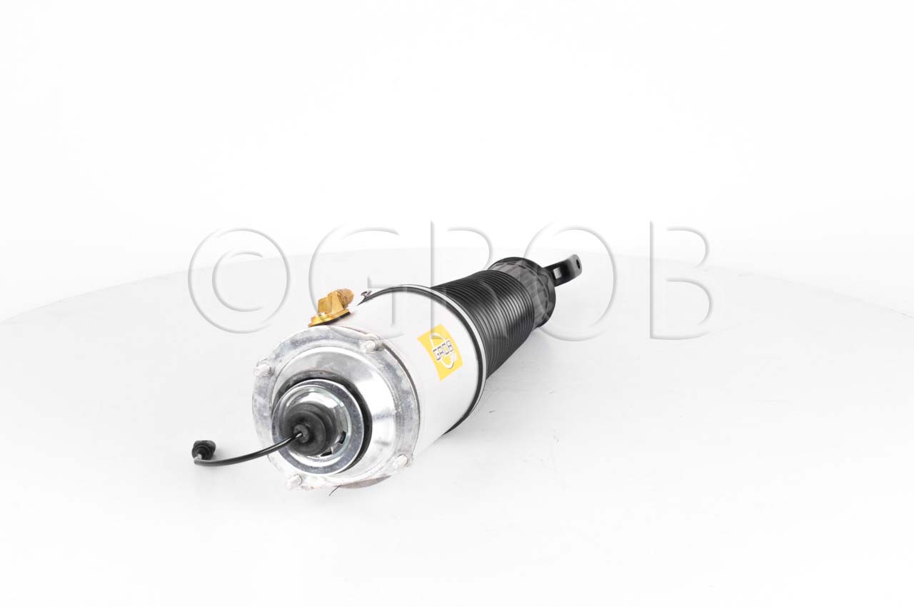 Amortiguador Del. Der. A8 02-10