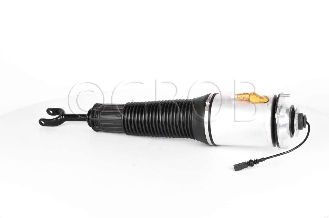 Amortiguador Del. Der. A8 02-10