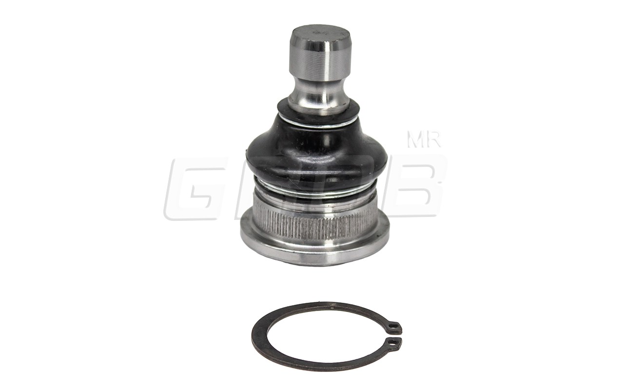 Rotula Inf. Murano 03-08 Quest 04-08 Rogue 08-18 X-Trail 08-20 Koleos 09-23