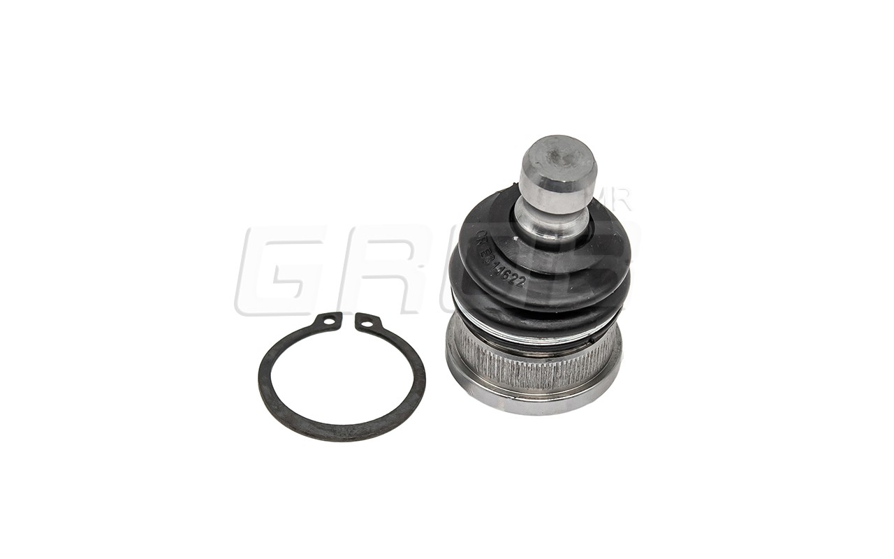 Rotula Inf. Kicks 16-23 March 11-23 Note 12-18 Versa 12-23