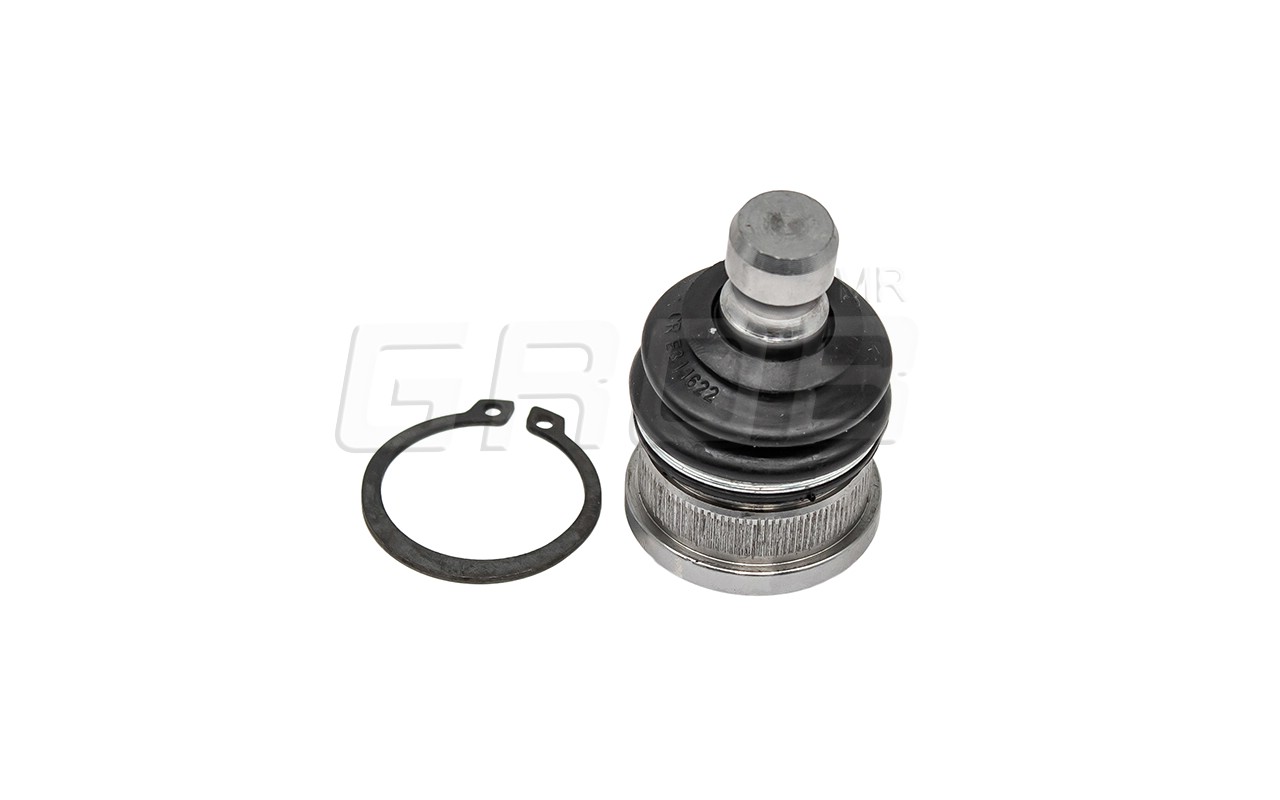 Rotula Inf. Kicks 16-23 March 11-23 Note 12-18 Versa 12-23