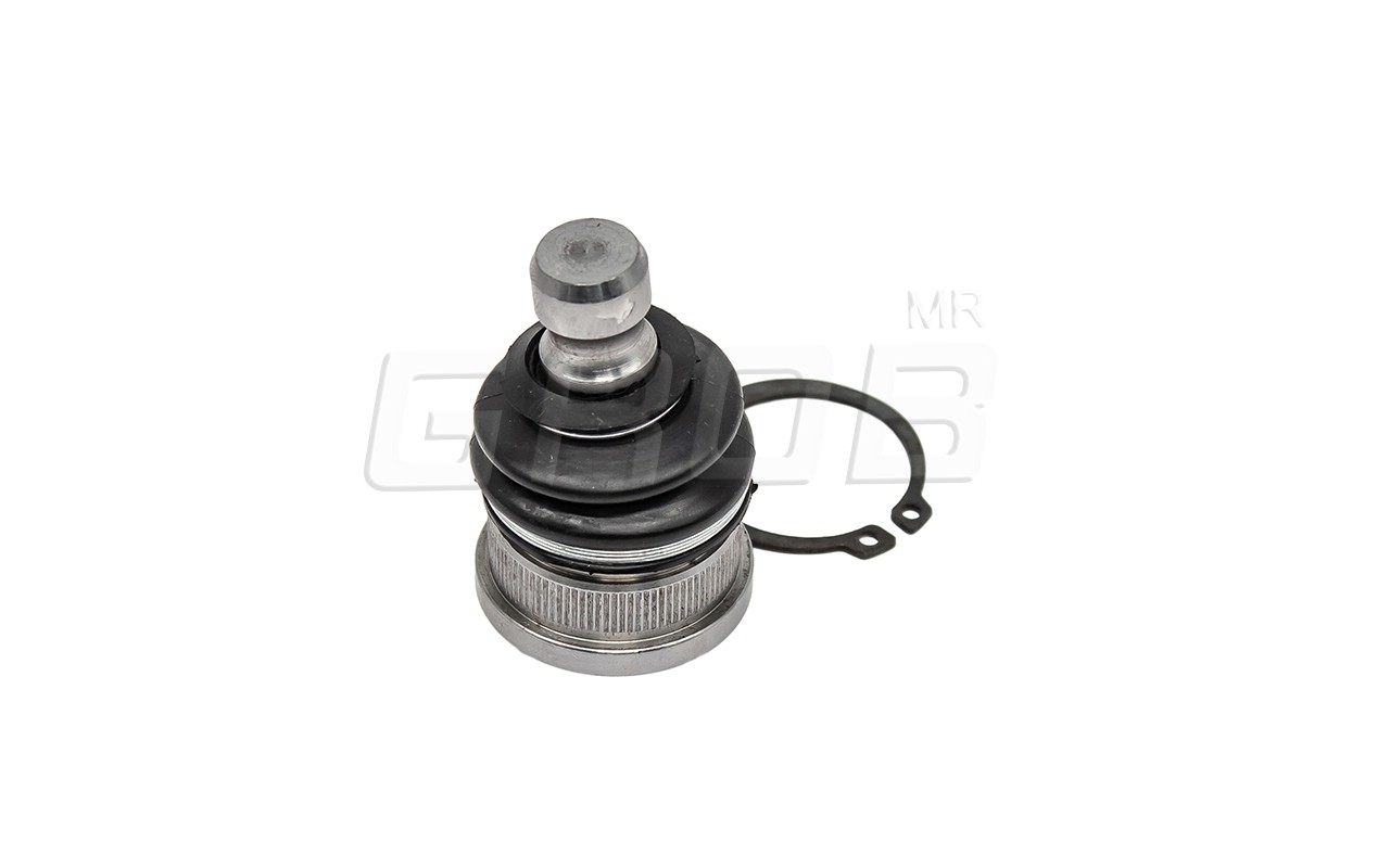 Rotula Inf. Kicks 16-23 March 11-23 Note 12-18 Versa 12-23