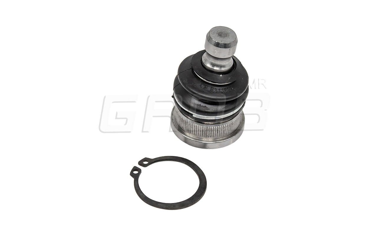 Rotula Inf. Kicks 16-23 March 11-23 Note 12-18 Versa 12-23