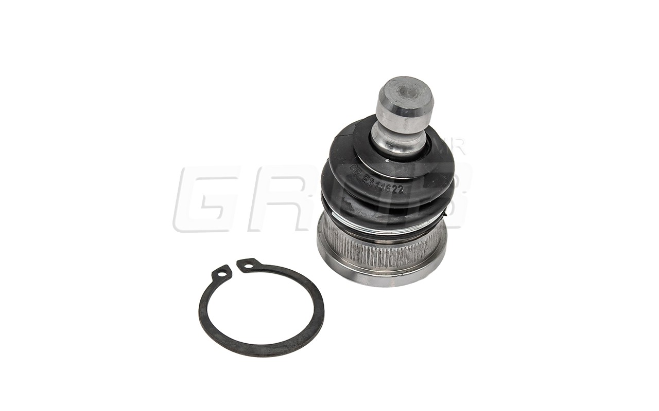 Rotula Inf. Kicks 16-23 March 11-23 Note 12-18 Versa 12-23