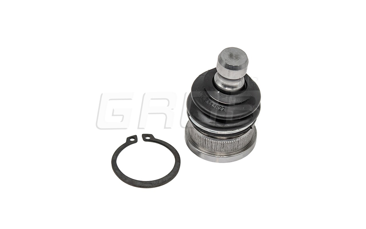 Rotula Inf. Kicks 16-23 March 11-23 Note 12-18 Versa 12-23