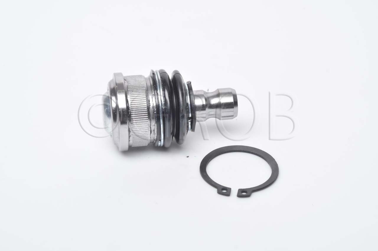 Rotula Inf. Kicks 16-23 March 11-23 Note 12-18 Versa 12-23