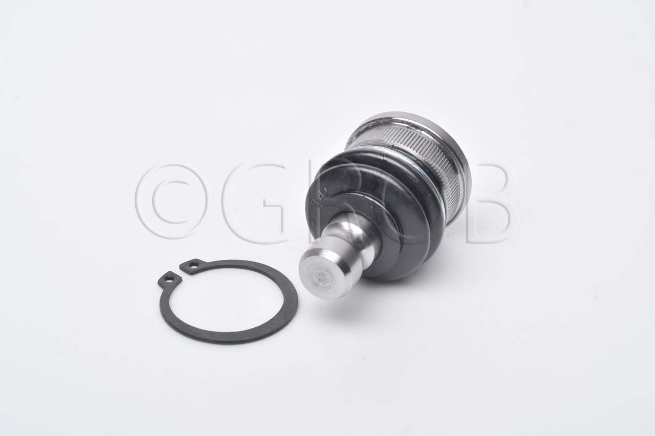 Rotula Inf. Kicks 16-23 March 11-23 Note 12-18 Versa 12-23