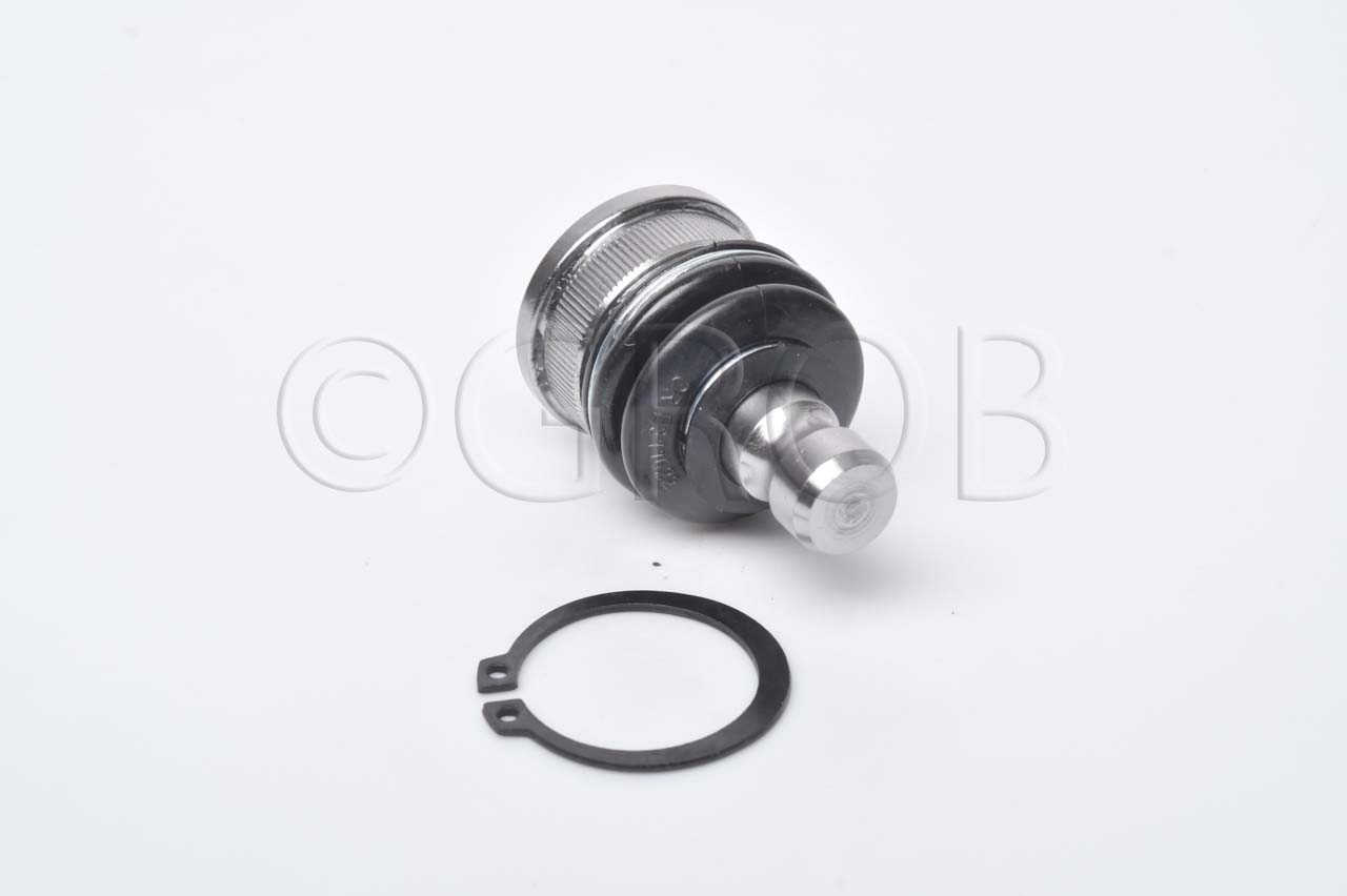 Rotula Inf. Kicks 16-23 March 11-23 Note 12-18 Versa 12-23