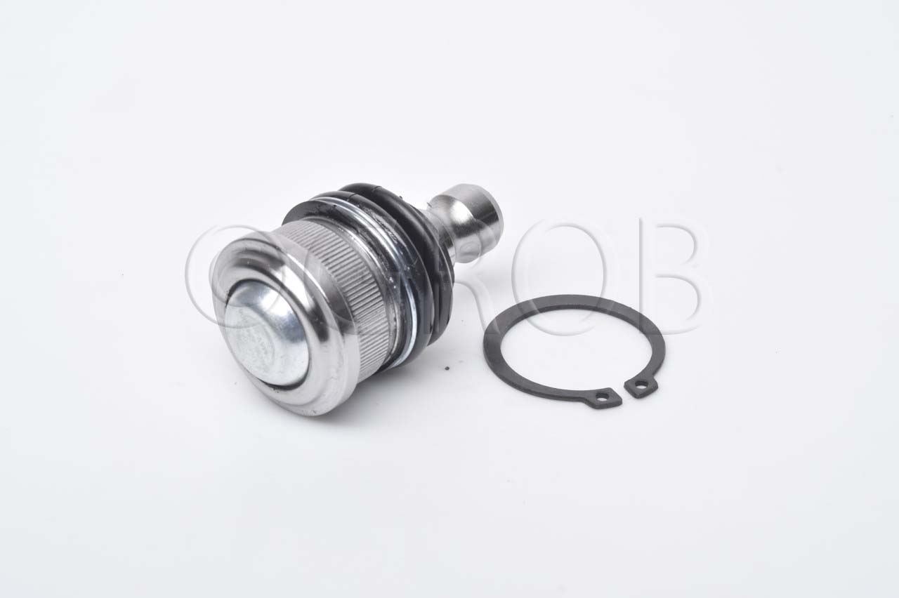 Rotula Inf. Kicks 16-23 March 11-23 Note 12-18 Versa 12-23