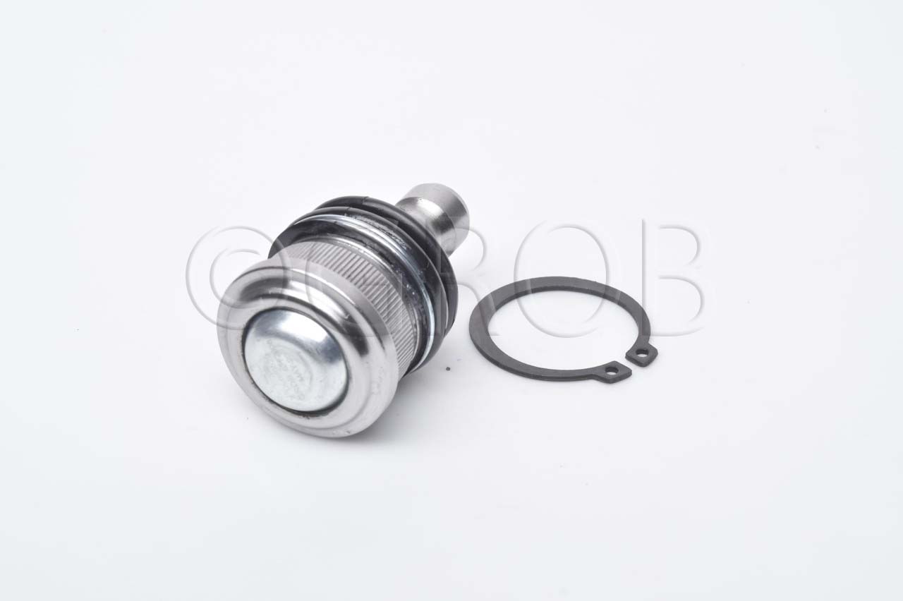 Rotula Inf. Kicks 16-23 March 11-23 Note 12-18 Versa 12-23