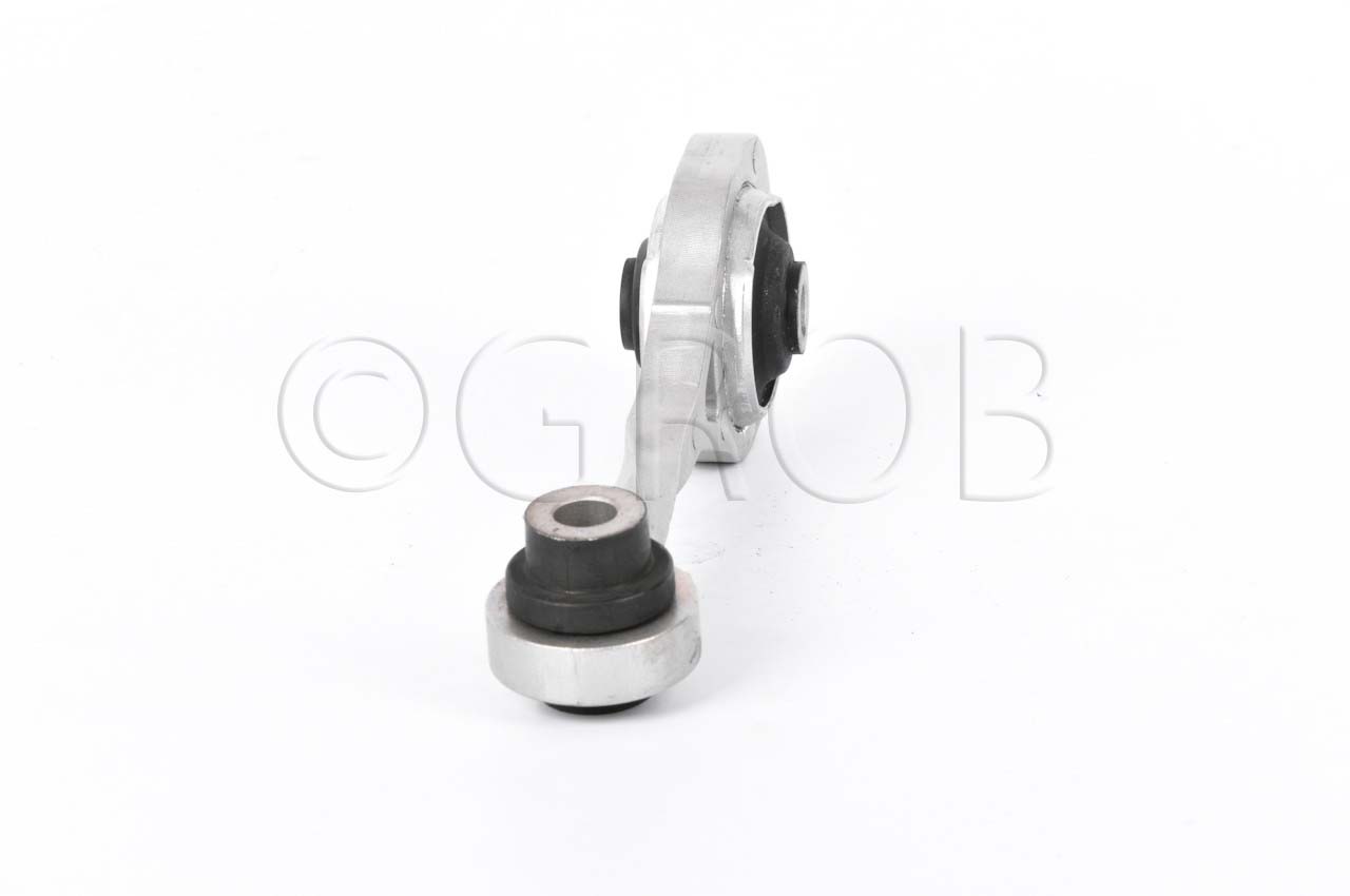 Soporte Motor Tras. Platina 02-10 Clio 02-10 Clio 02-06 Kangoo 04-16