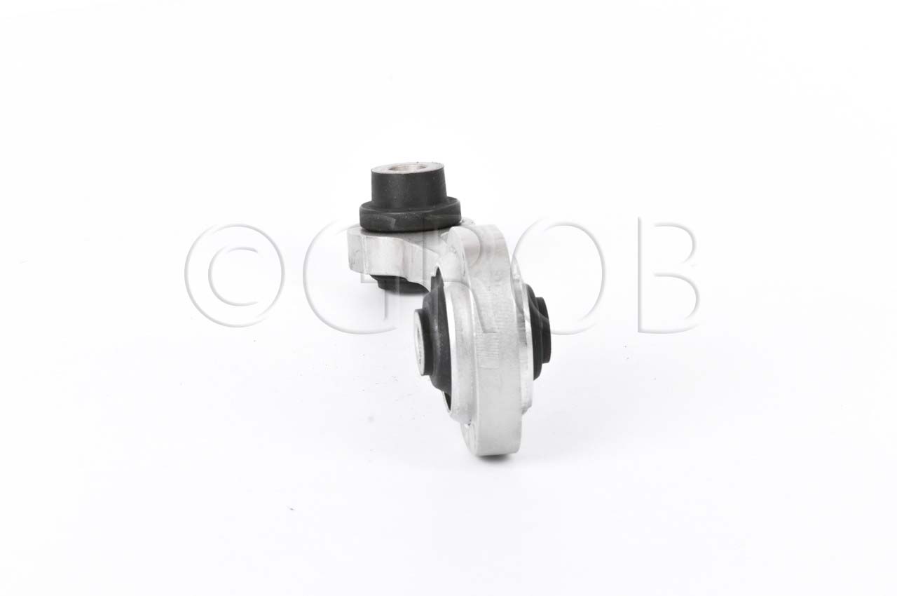 Soporte Motor Tras. Platina 02-10 Clio 02-10 Clio 02-06 Kangoo 04-16