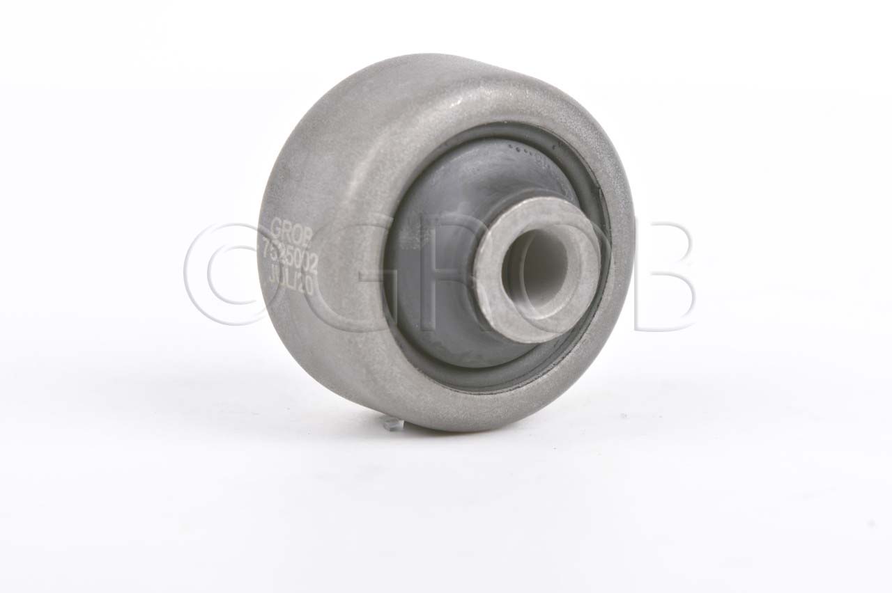 Buje Inf. Tras. Clio Europa 07-09 Megane 04-10 Megane II 04-10 Scenic II 05-09