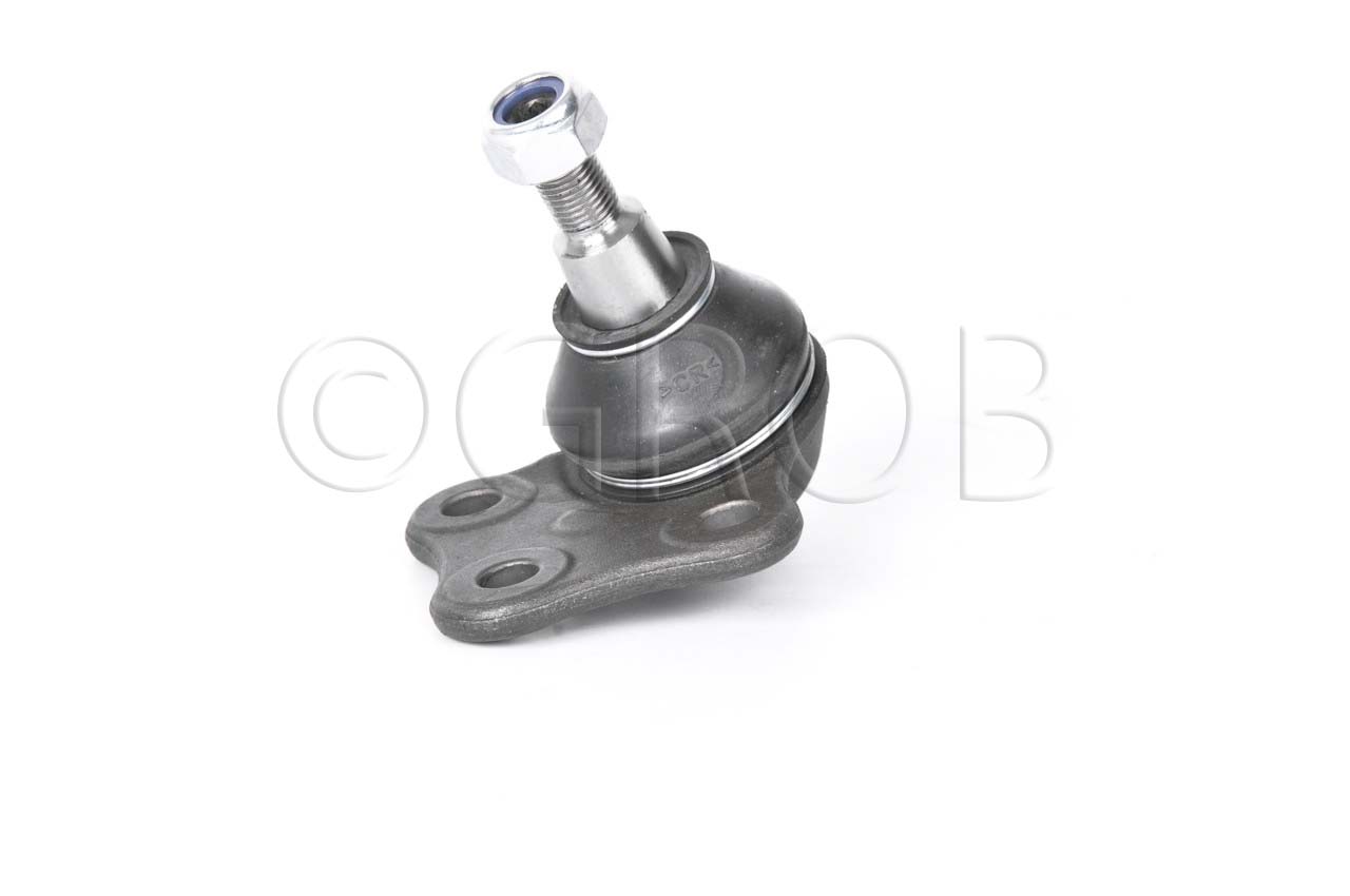 Rotula Inf. Fluence 11-14