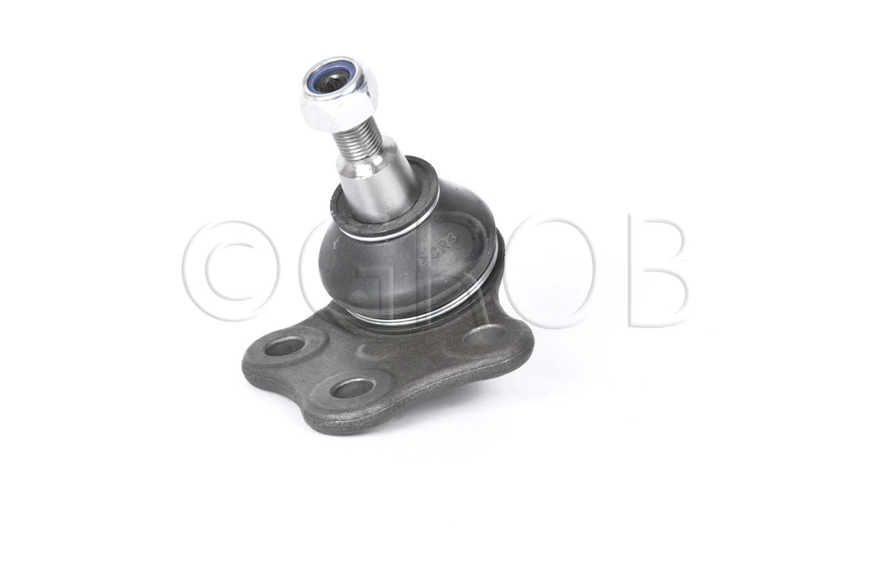 Rotula Inf. Fluence 11-14