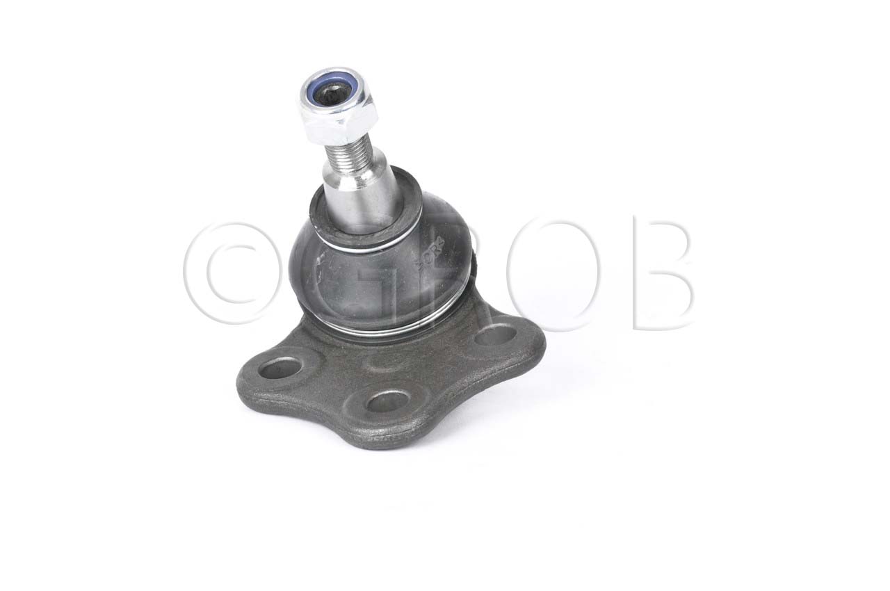 Rotula Inf. Fluence 11-14