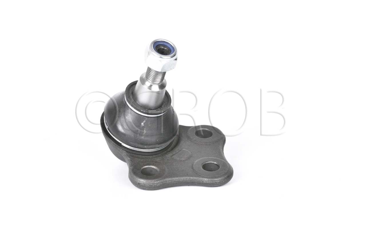 Rotula Inf. Fluence 11-14