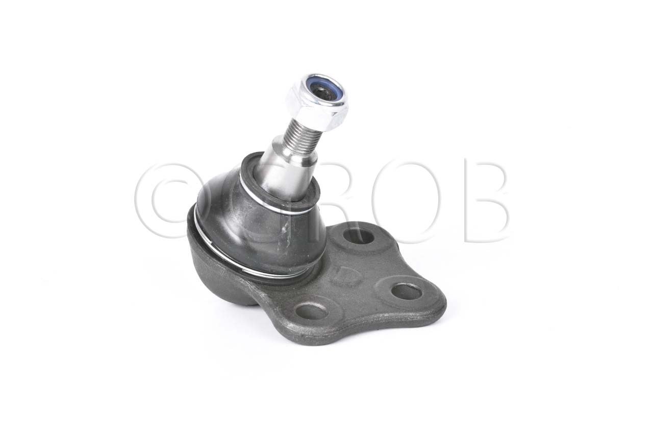 Rotula Inf. Fluence 11-14