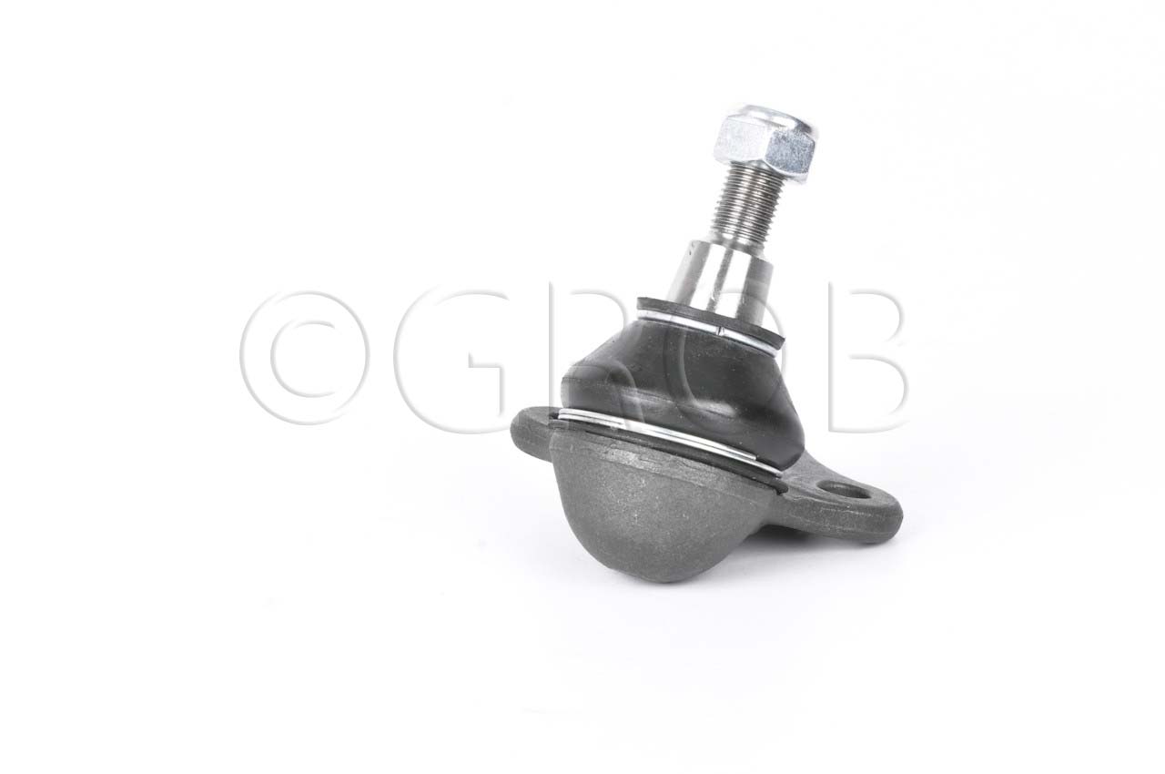 Rotula Inf. Fluence 11-14