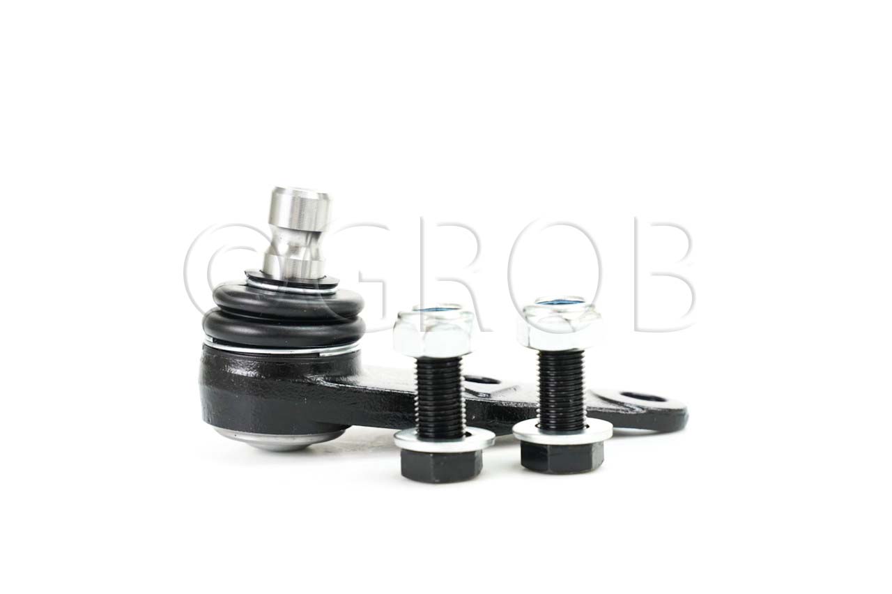 Rotula Inf. Clio Sport 02-06 Scenic 01-04