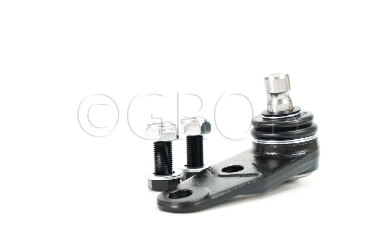 Rotula Inf. Clio Sport 02-06 Scenic 01-04