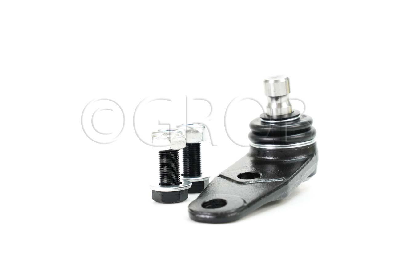 Rotula Inf. Clio Sport 02-06 Scenic 01-04