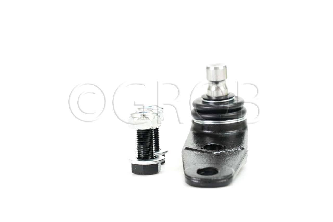 Rotula Inf. Clio Sport 02-06 Scenic 01-04