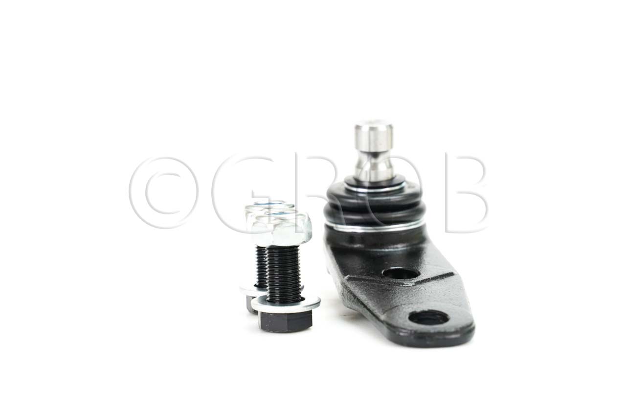 Rotula Inf. Clio Sport 02-06 Scenic 01-04