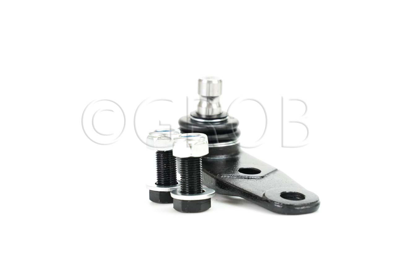 Rotula Inf. Clio Sport 02-06 Scenic 01-04