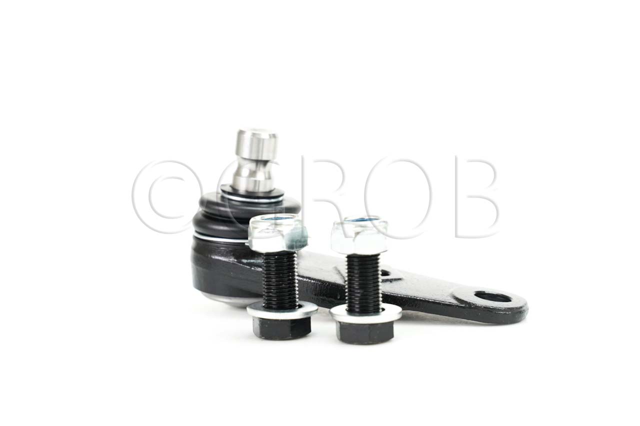 Rotula Inf. Clio Sport 02-06 Scenic 01-04