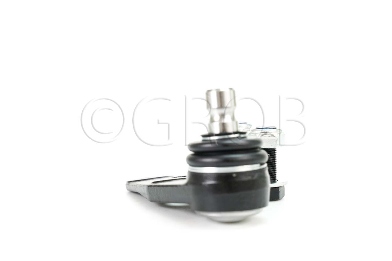 Rotula Inf. Clio Sport 02-06 Scenic 01-04