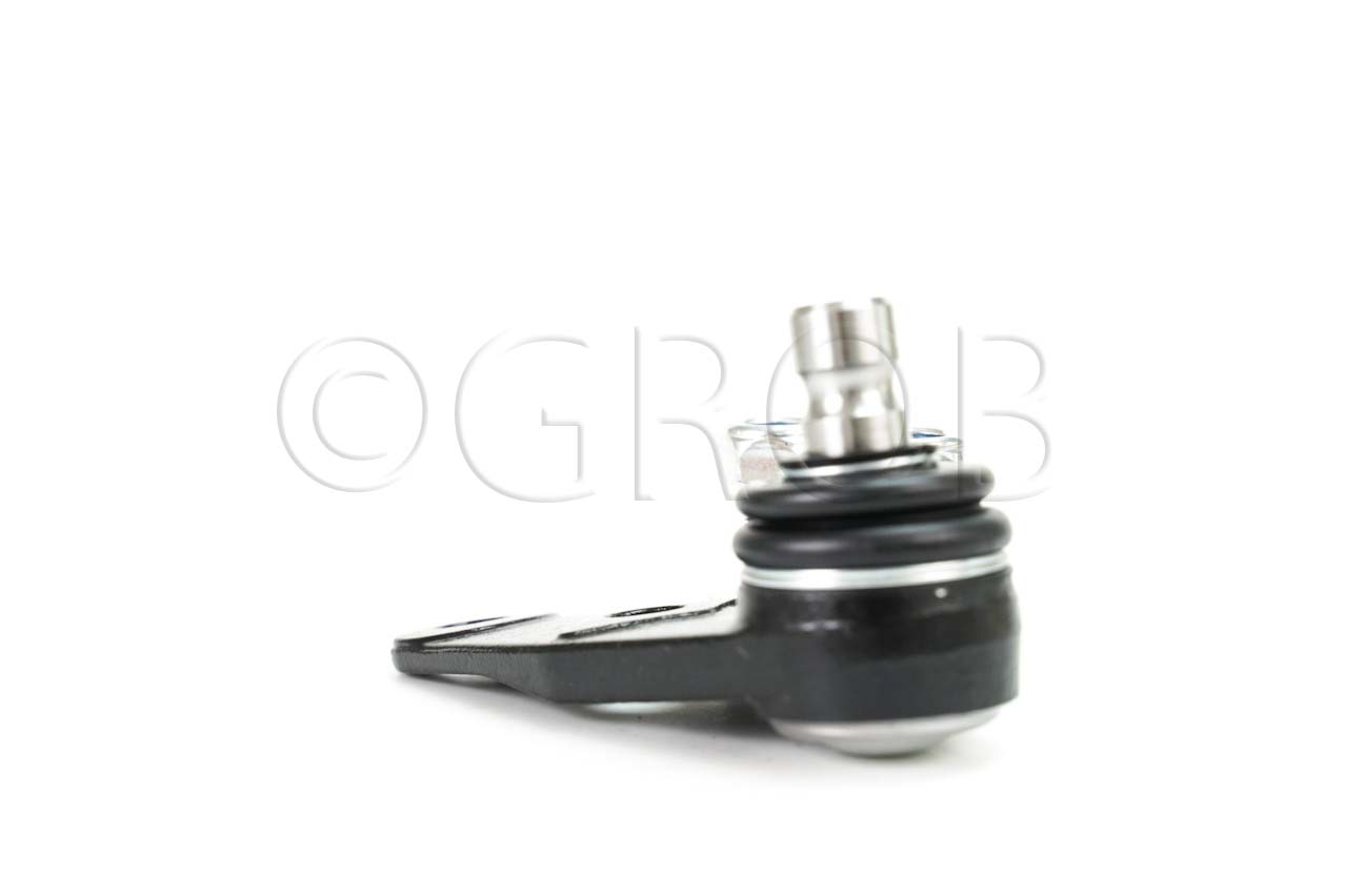 Rotula Inf. Clio Sport 02-06 Scenic 01-04